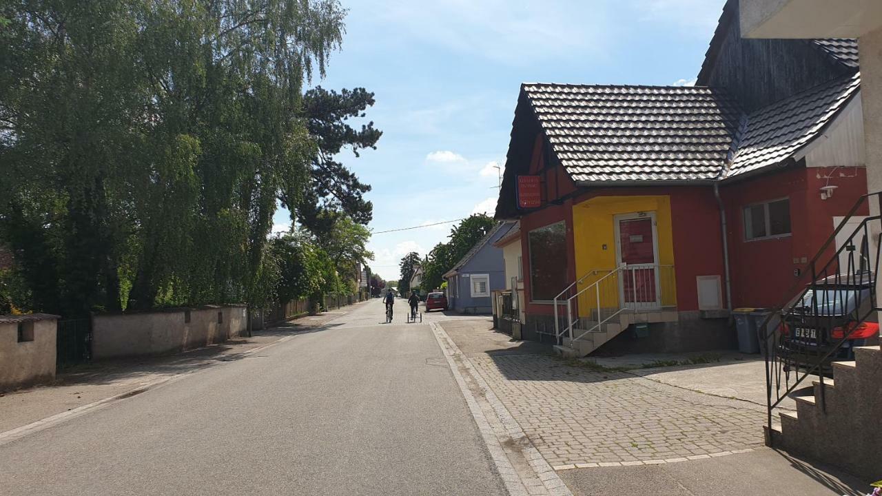 Villa Beaux Lofts Pres D'Europa Park Et Strasbourg Obenheim Exterior foto